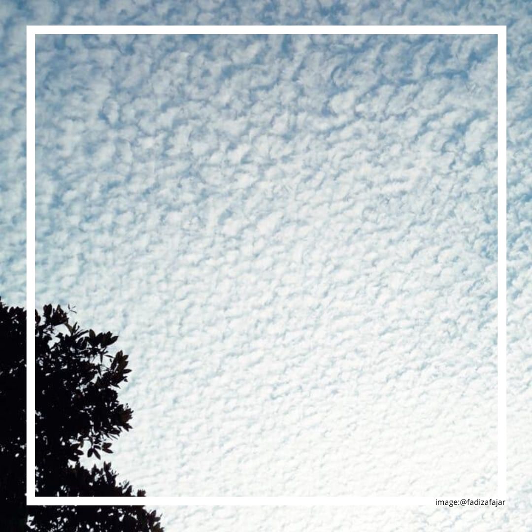 Fitrah sebagai Arah Kembali Menjadi Manusia Fitrah sebagai Arah Kembali Menjadi Manusia