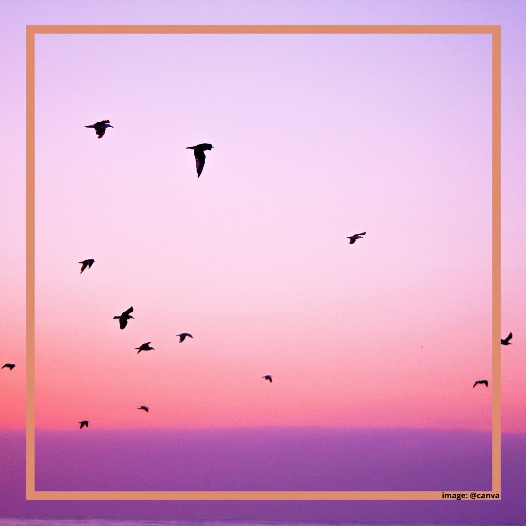 Memetik Hikmah dari Perbedaan Pendapat Memetik Hikmah dari Perbedaan Pendapat