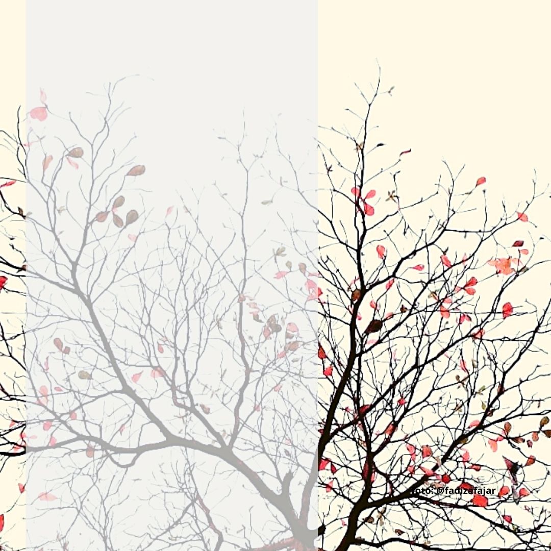 Aktualisasi Diri di Jalan Sunyi Aktualisasi Diri di Jalan Sunyi