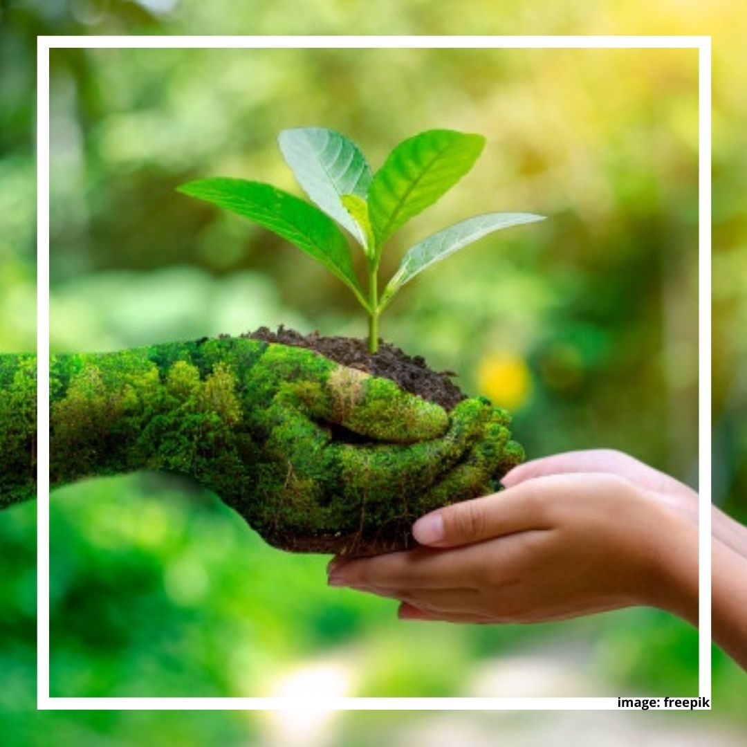 Bersahabat dengan Alam Bersahabat dengan Alam