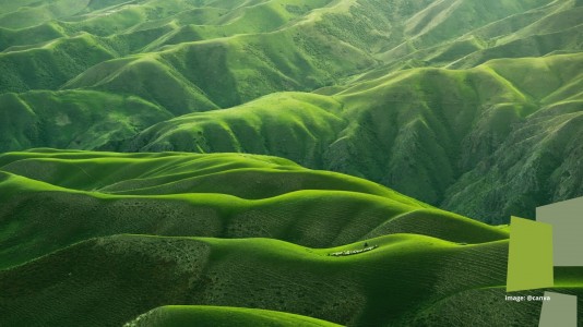 Hak untuk Bumi Hak untuk Bumi