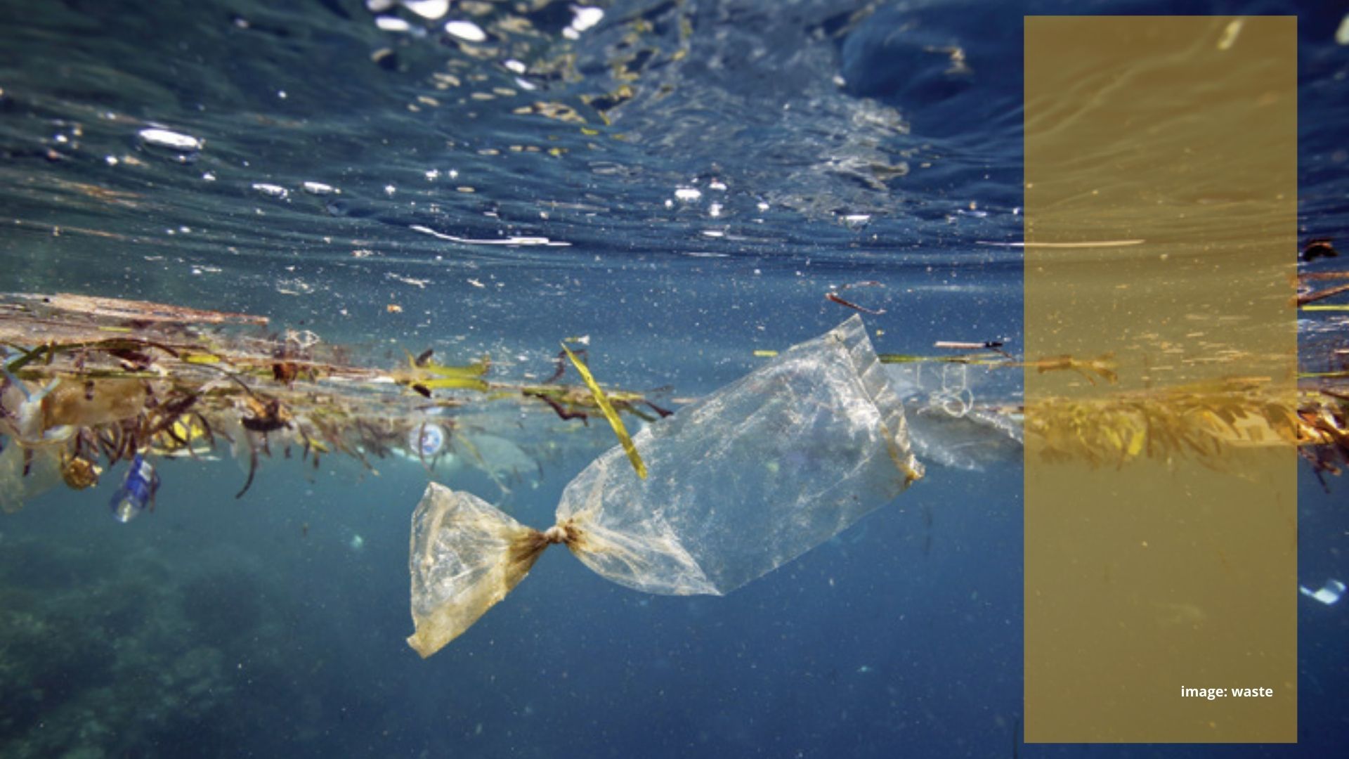 Nasib Bumi dan Sampah Nasib Bumi dan Sampah