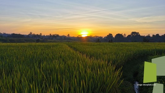 Dzikir Petani Dzikir Petani