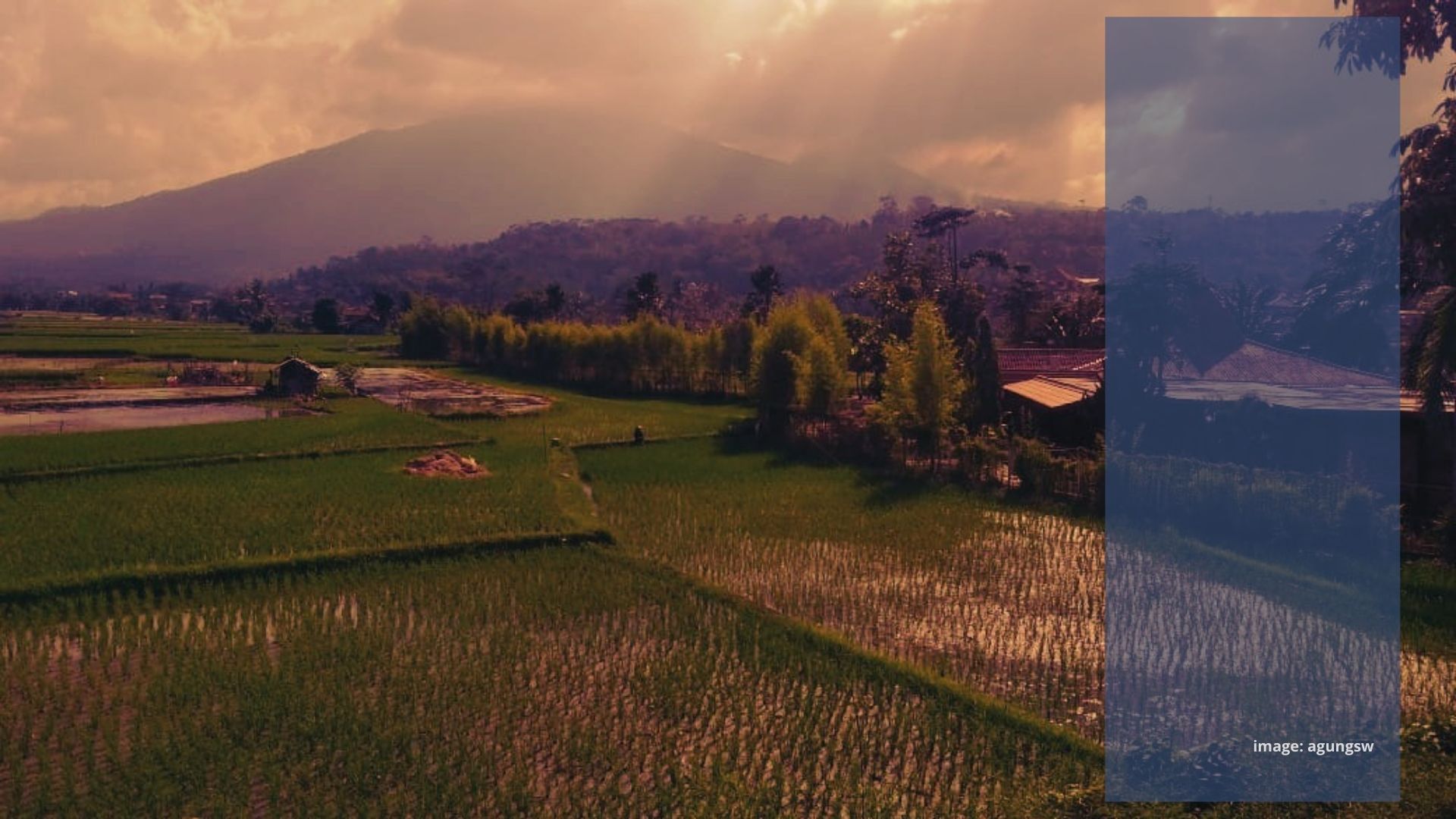 Konsep Hidup Petani Konsep Hidup Petani