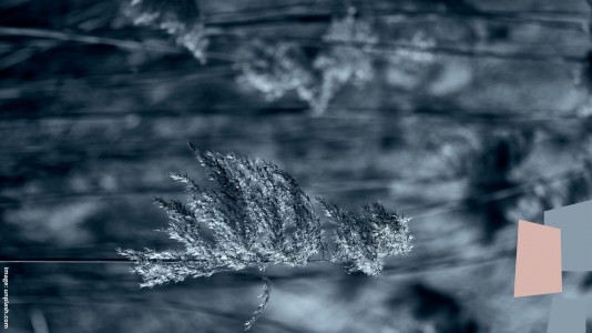 Ikhtiar Menjadi Pemenang Ikhtiar Menjadi Pemenang