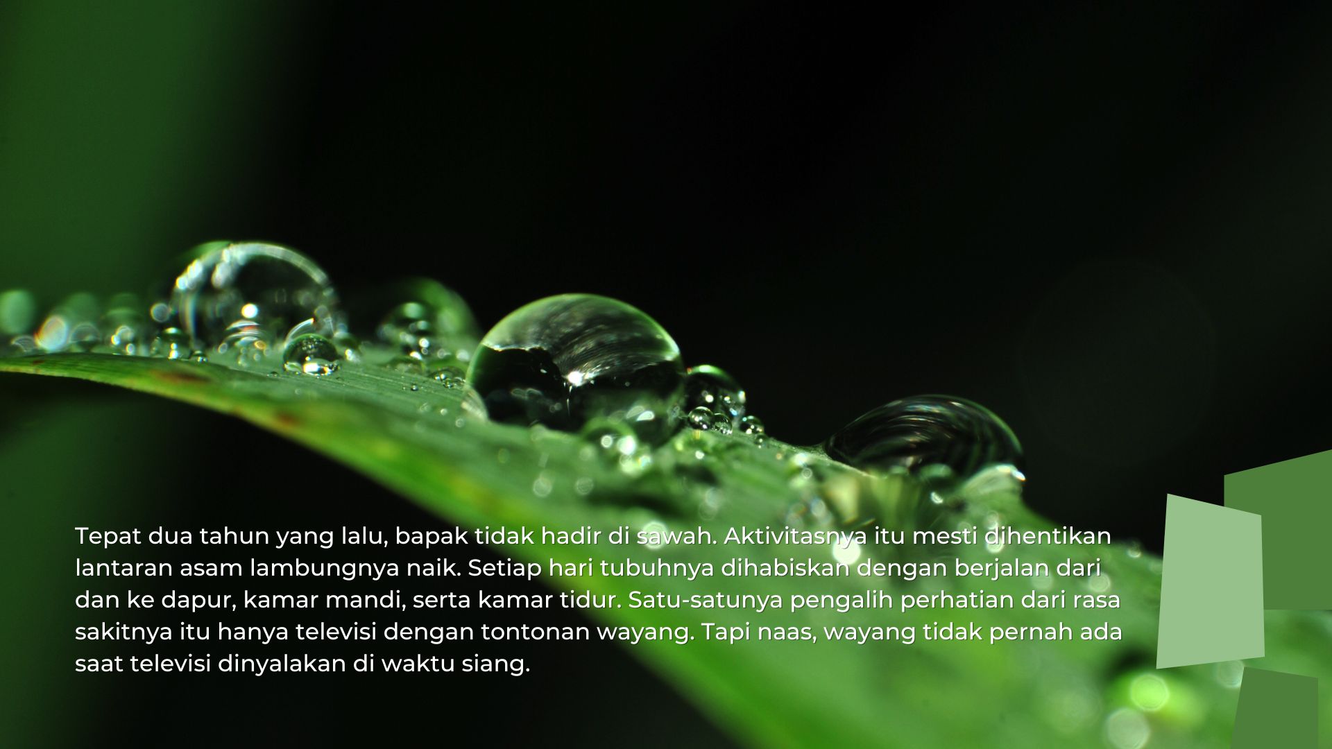 Menjadi Petani Menjadi Petani