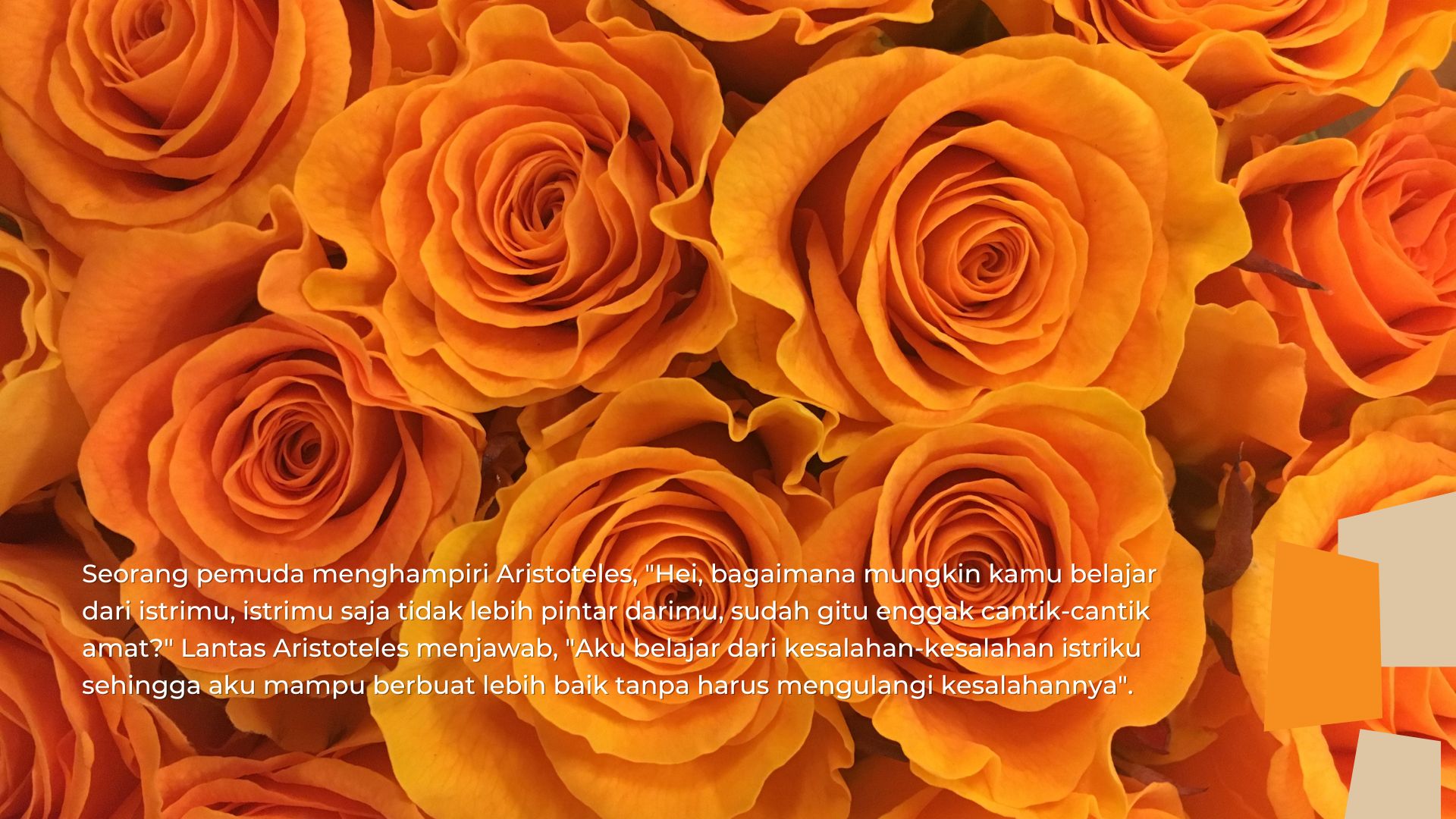 Menikahlah, Maka Kamu Akan Menjadi Filosof! Menikahlah, Maka Kamu Akan Menjadi Filosof!