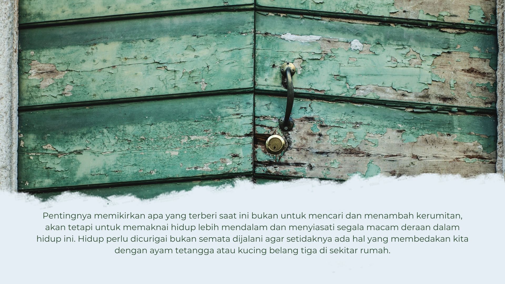 Hidup Seluruh Layak Dicurigai Hidup Seluruh Layak Dicurigai